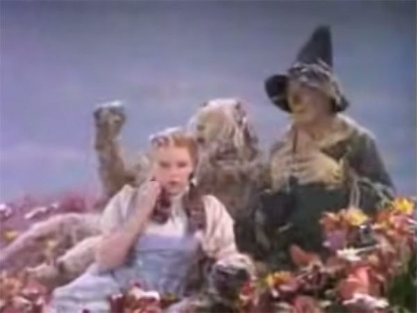 1939 Wizard of Oz poppy scene with asbestos snow